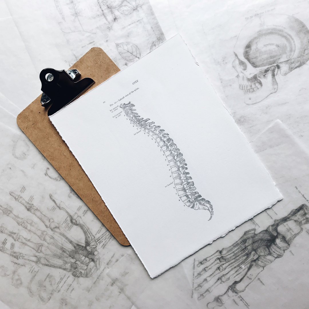 Top 3 Common Myths about Chiropractic Treatment